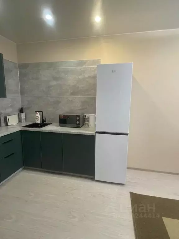 1-к кв. Ленинградская область, Ломоносовский район, Аннинское ... - Фото 2