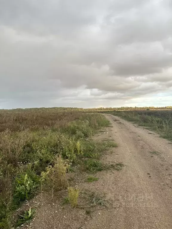 Участок в Новгородская область, Новгородский район, Савинское с/пос, ... - Фото 1