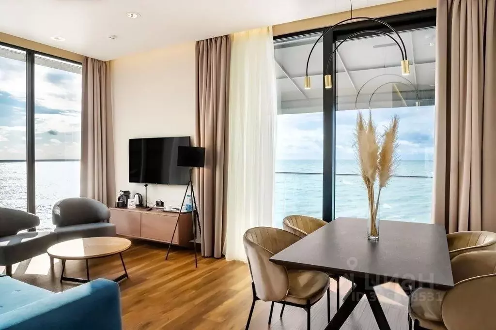 1-к кв. Краснодарский край, Сочи Виноградная ул., 33/3 (40.0 м) - Фото 2