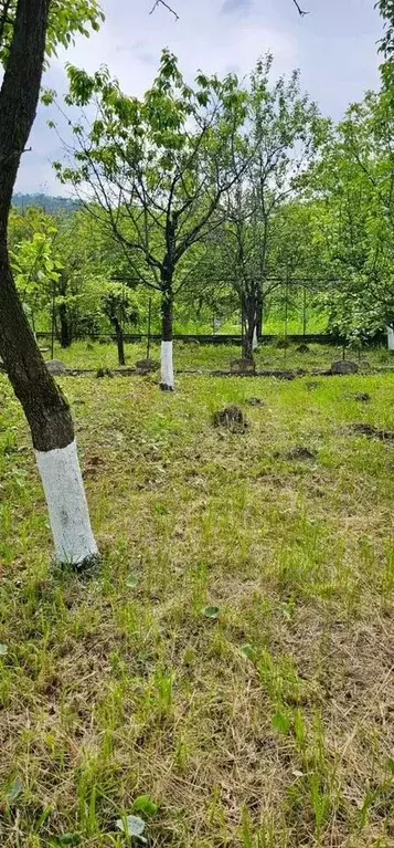 Участок 9,4 сот. (ИЖС) - Фото 0