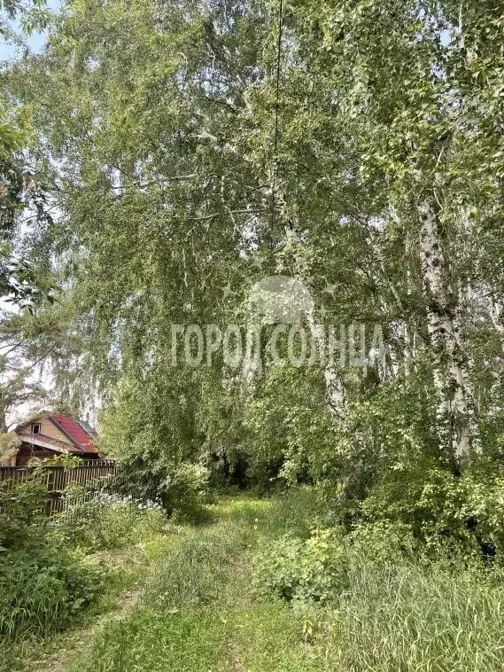 Дом в Омская область, Омск СОСН Шинник-3 тер., аллея 9-я (25 м) - Фото 1