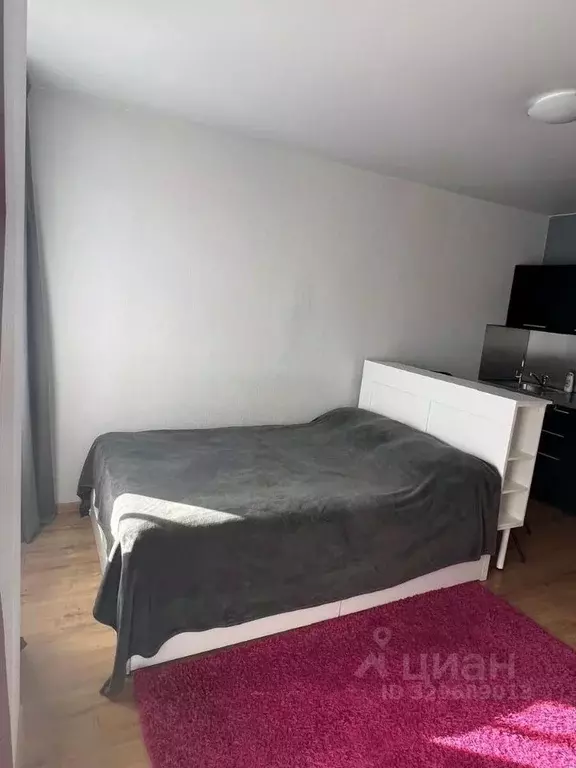 Студия Санкт-Петербург бул. Александра Грина, 1 (29.3 м) - Фото 2