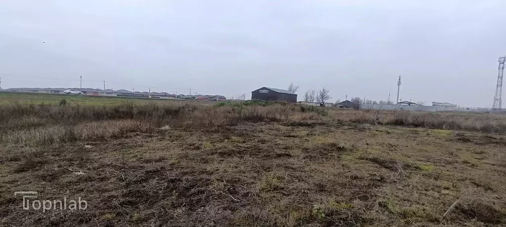 Склад в Ростовская область, Мясниковский район, Красный Крым хут. ул. ... - Фото 2