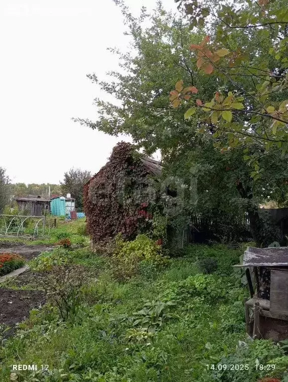 Участок в Томск, садовое некоммерческое товарищество Ромашка, 9-я ... - Фото 1