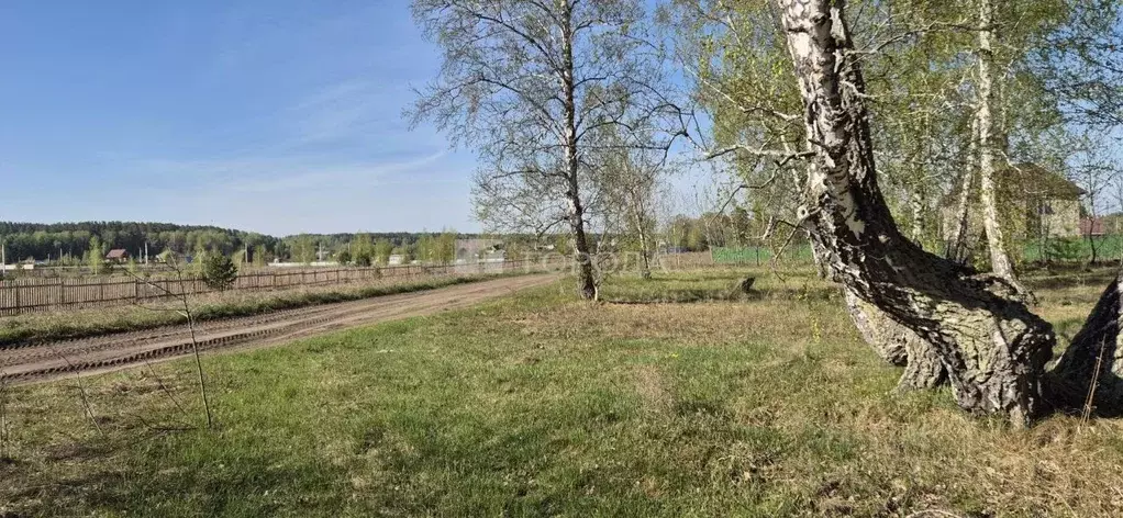 Участок в Алтайский край, Калманский район, с. Зимари  (20.0 сот.) - Фото 1