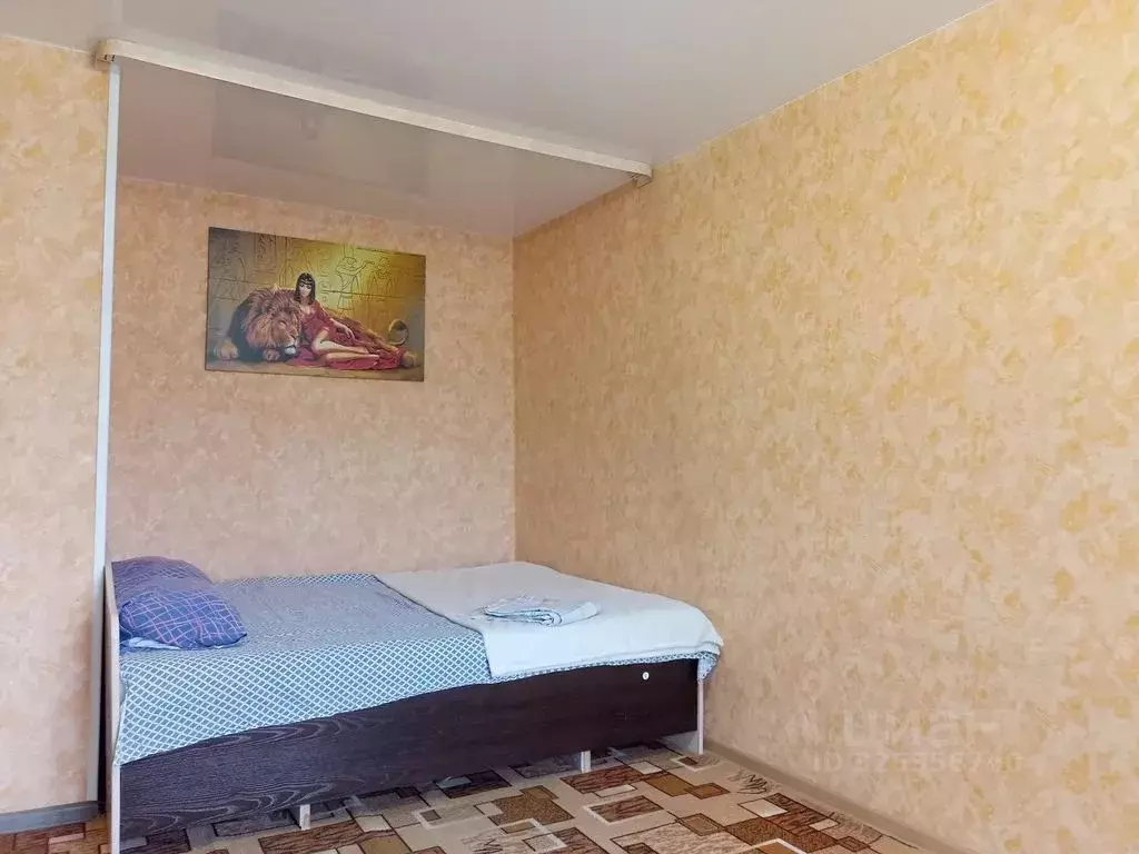 1-к кв. Приморский край, Спасск-Дальний Пролетарская ул., 7 (31.0 м) - Фото 2