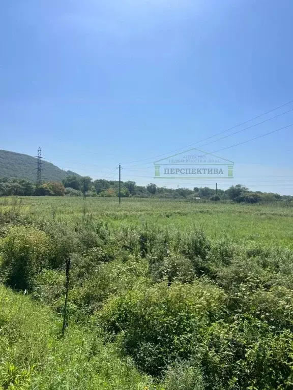 Участок в Приморский край, Шкотовский муниципальный округ, пос. ... - Фото 2