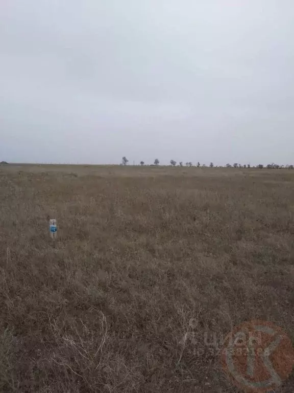 Участок в Крым, Сакский район, Штормовское с/пос, с. Крыловка ул. ... - Фото 2