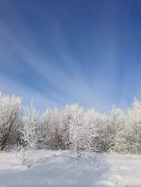 Участок в Нижегородская область, с. Безводное  (8.3 сот.) - Фото 1
