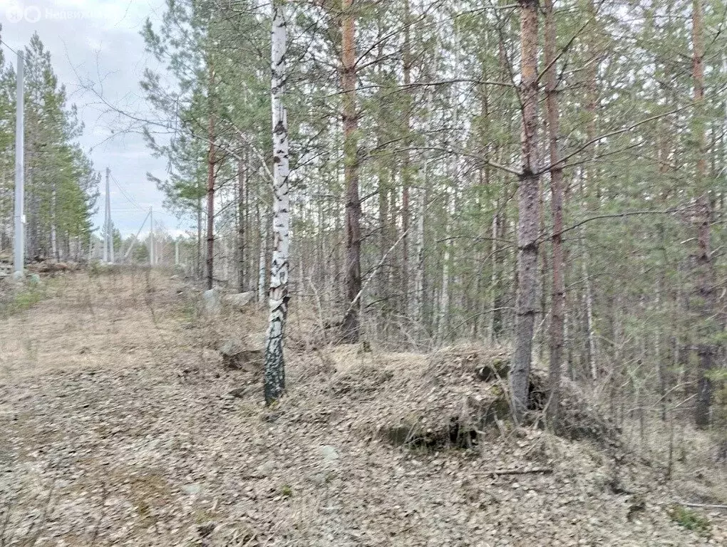 Участок в Свердловская область, Невьянский муниципальный округ (13.64 ... - Фото 2