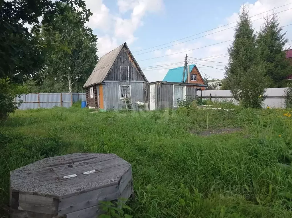 Дом в Тюменская область, Нижнетавдинский район, Лебедушка СПК ул. 4-я ... - Фото 2