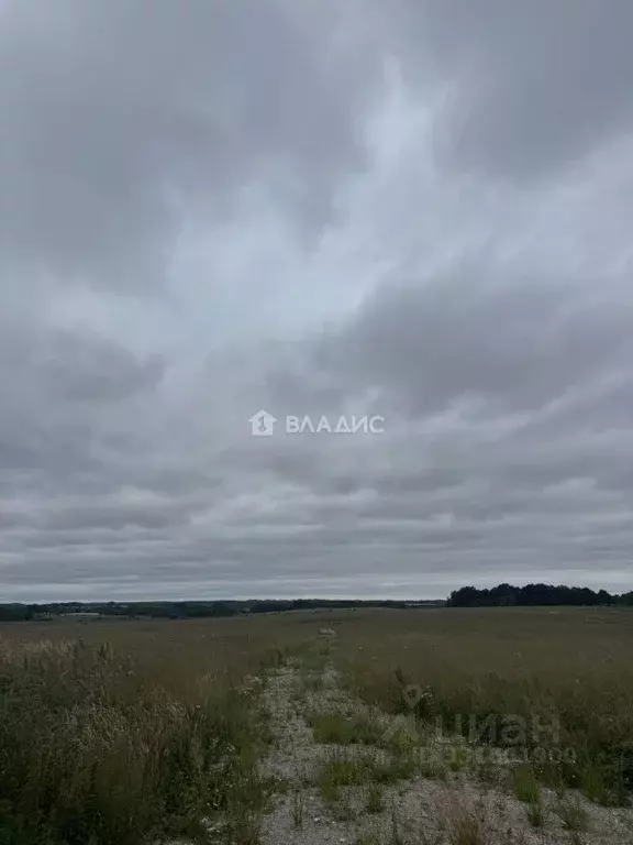 Участок в Калининградская область, Зеленоградский муниципальный округ, ... - Фото 1