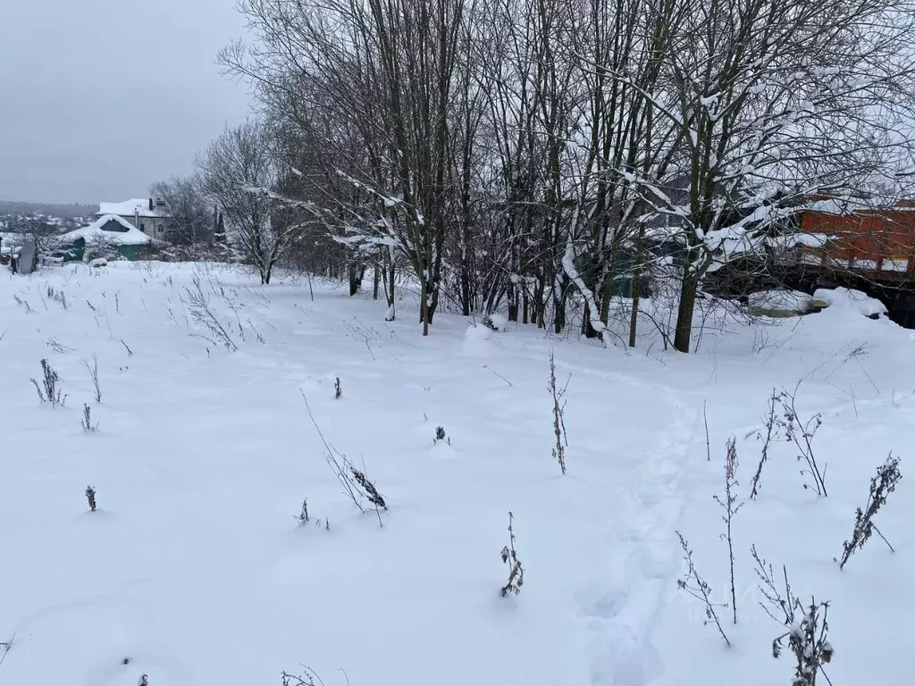 Участок в Московская область, Пушкинский городской округ, с. Ельдигино ... - Фото 0
