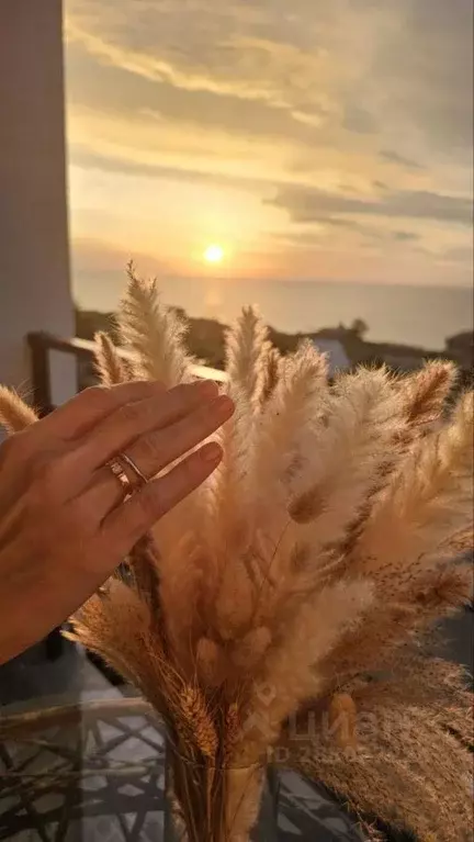 Комната Севастополь ш. Фиолентовское, 134к6 (25.0 м) - Фото 2