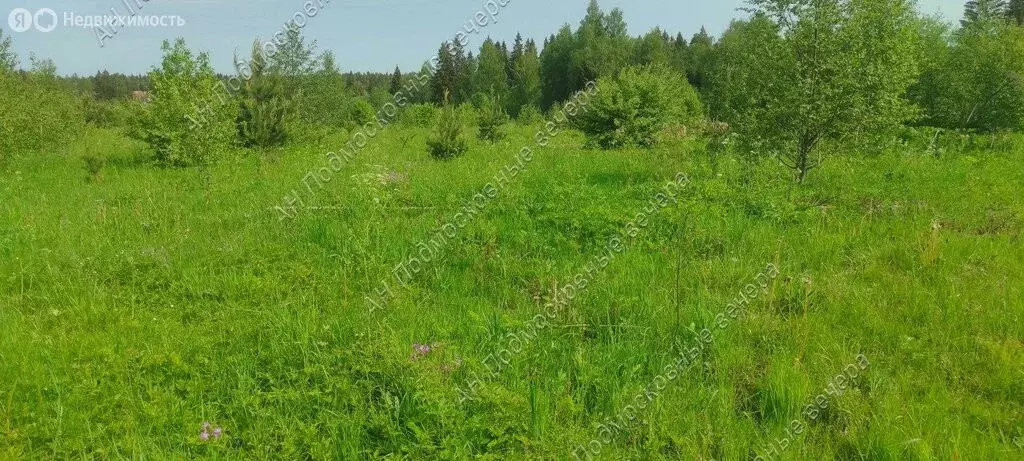 Участок в Московская область, городской округ Солнечногорск, ... - Фото 1