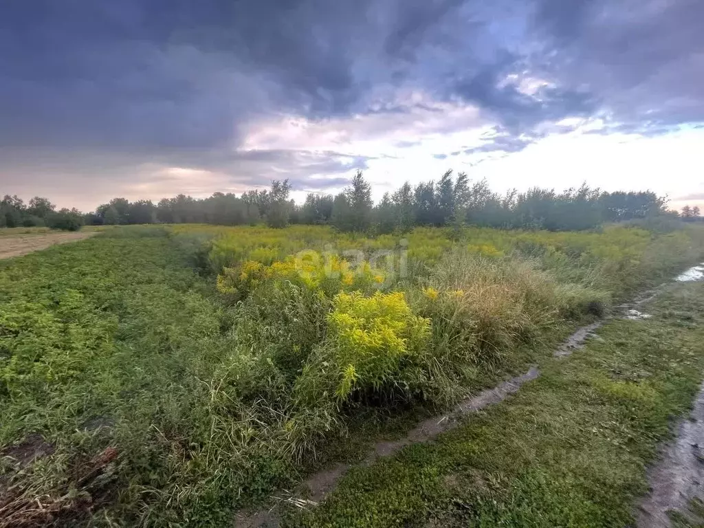 участок в нижегородская область, кстовский муниципальный округ, с. . - Фото 1