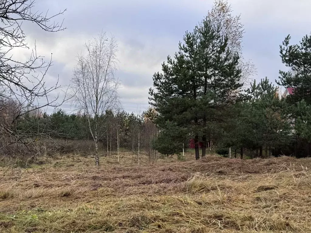 Участок в Ленинградская область, Всеволожский район, Колтушское ... - Фото 1