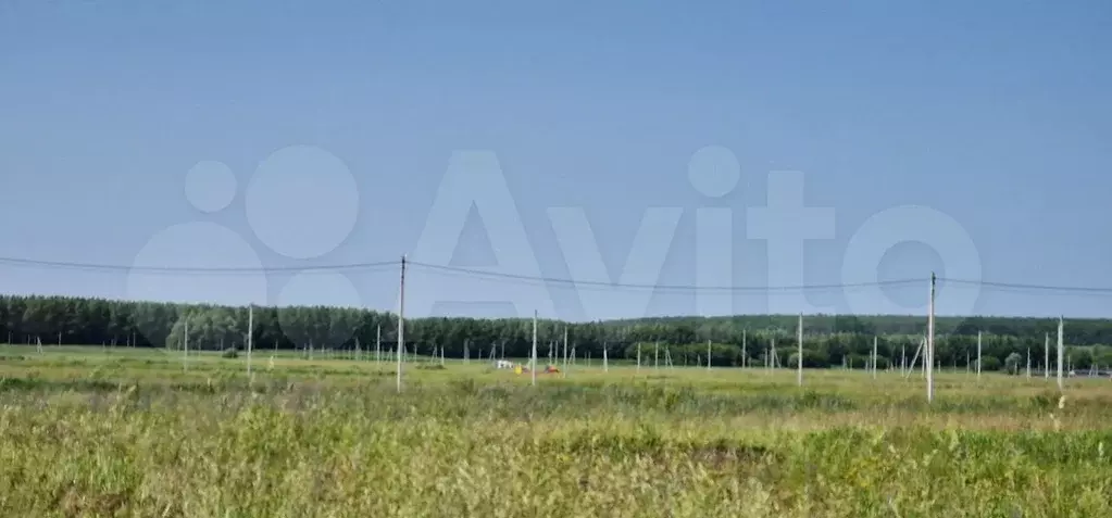 Участок 10 сот. (ИЖС) - Фото 0