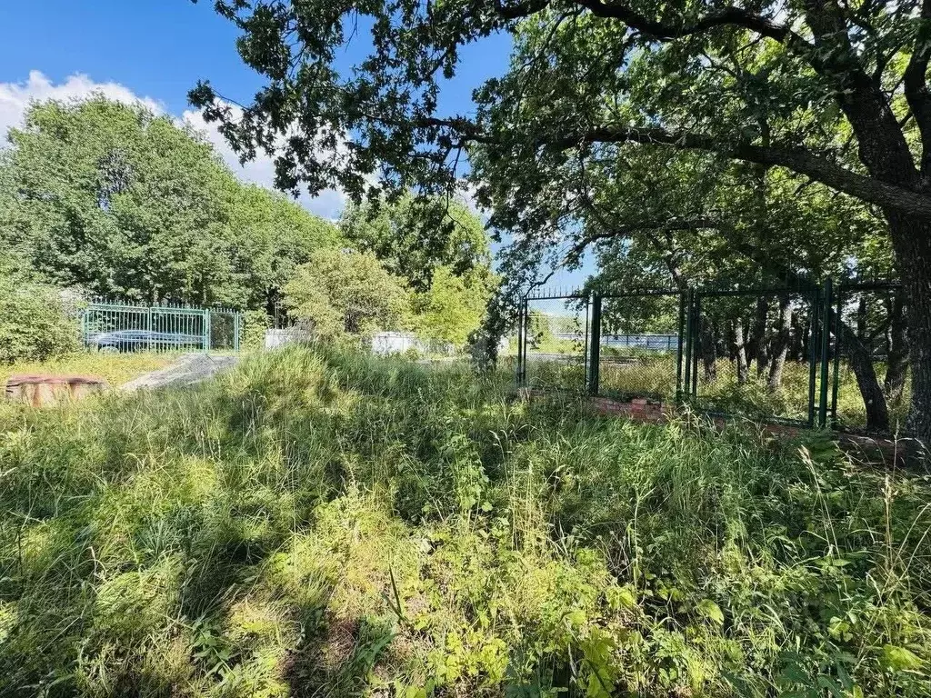 Участок в Саратовская область, Прогресс СНТ ул. Заречная (5.0 сот.) - Фото 2