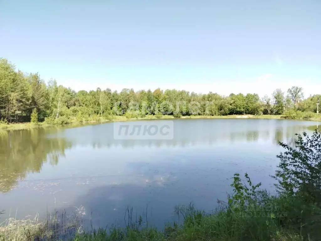Участок в Московская область, Серпухов городской округ, д. ... - Фото 1