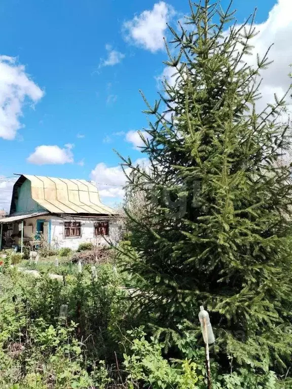 Дом в Оренбургская область, Оренбургский район, Ивановский сельсовет, ... - Фото 1