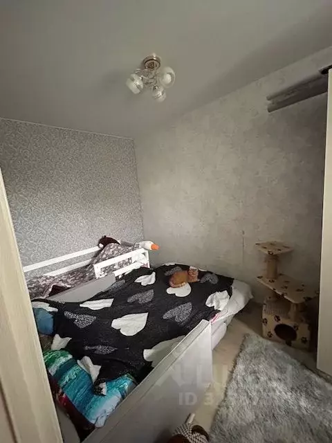 2-к кв. Свердловская область, Екатеринбург ул. Лесная, 38 (42.7 м) - Фото 2