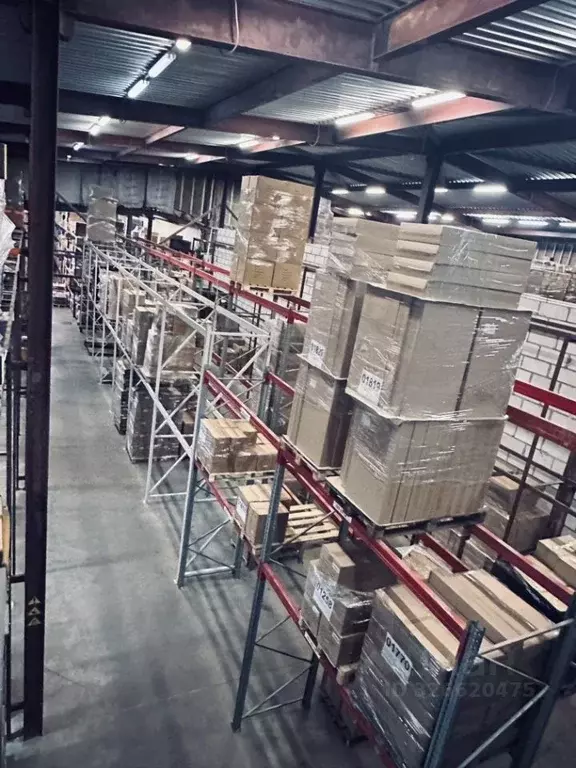 Помещение свободного назначения в Ленинградская область, Всеволожский ... - Фото 2