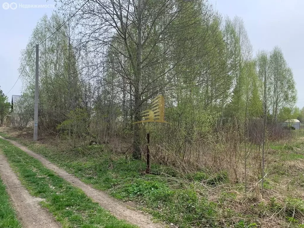 Участок в Колыванский район, садовое некоммерческое товарищество ... - Фото 0