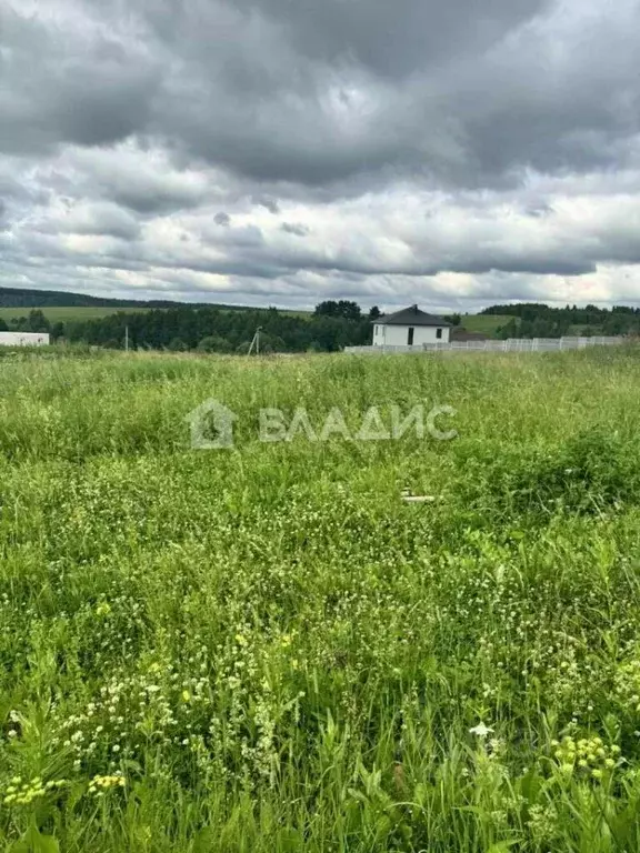 Участок в Владимирская область, Суздальский район, Новоалександровское ... - Фото 0