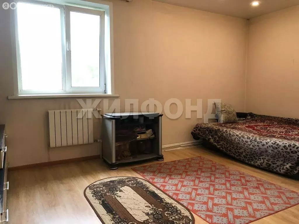 1-комнатная квартира: Новосибирск, Рубежная улица, 12 (30.9 м) - Фото 1