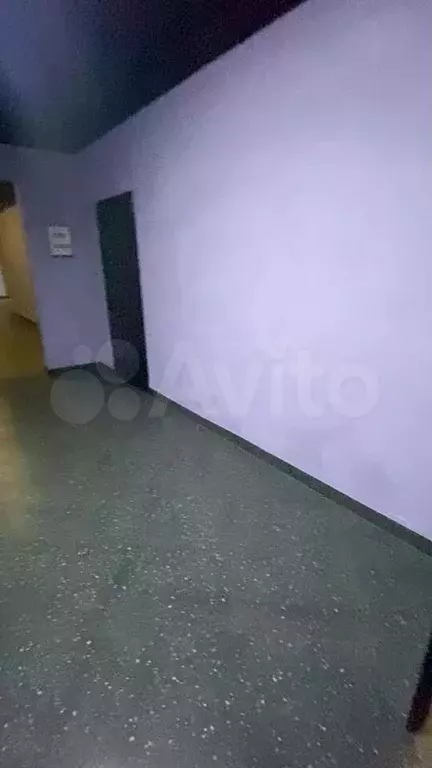 Комната 25,6 м, 2/5 эт. - Фото 0