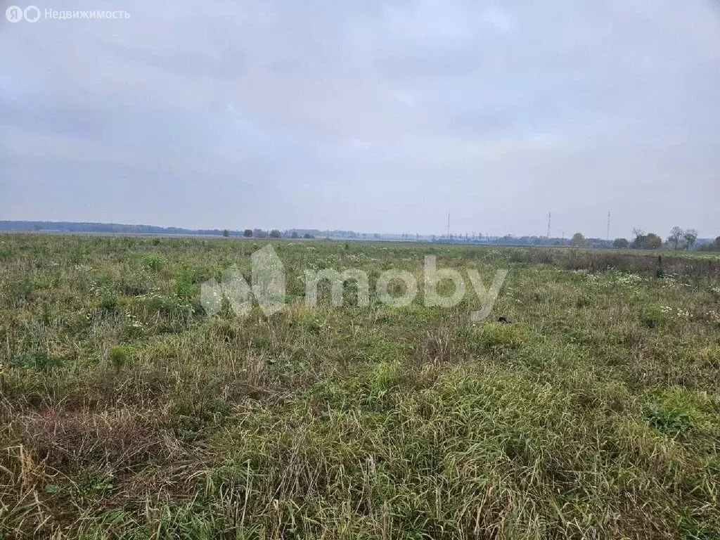 Участок в Калининградская область, Гурьевский муниципальный округ, ... - Фото 1