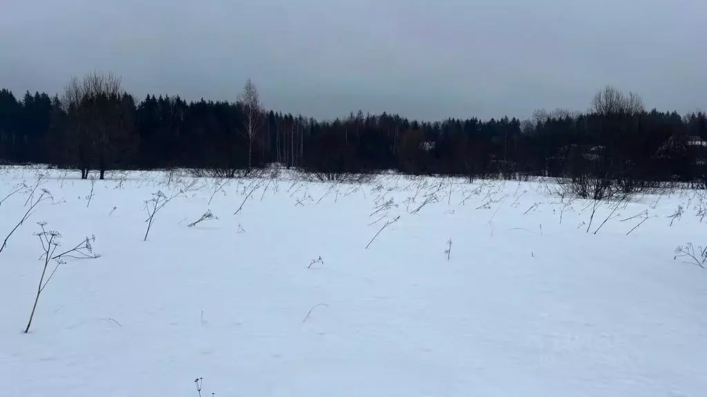 Участок в Московская область, Истра муниципальный округ, пос. ... - Фото 1