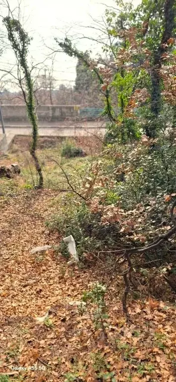 Участок в Крым, Ялта муниципальный округ, Кореиз пгт ш. ... - Фото 1