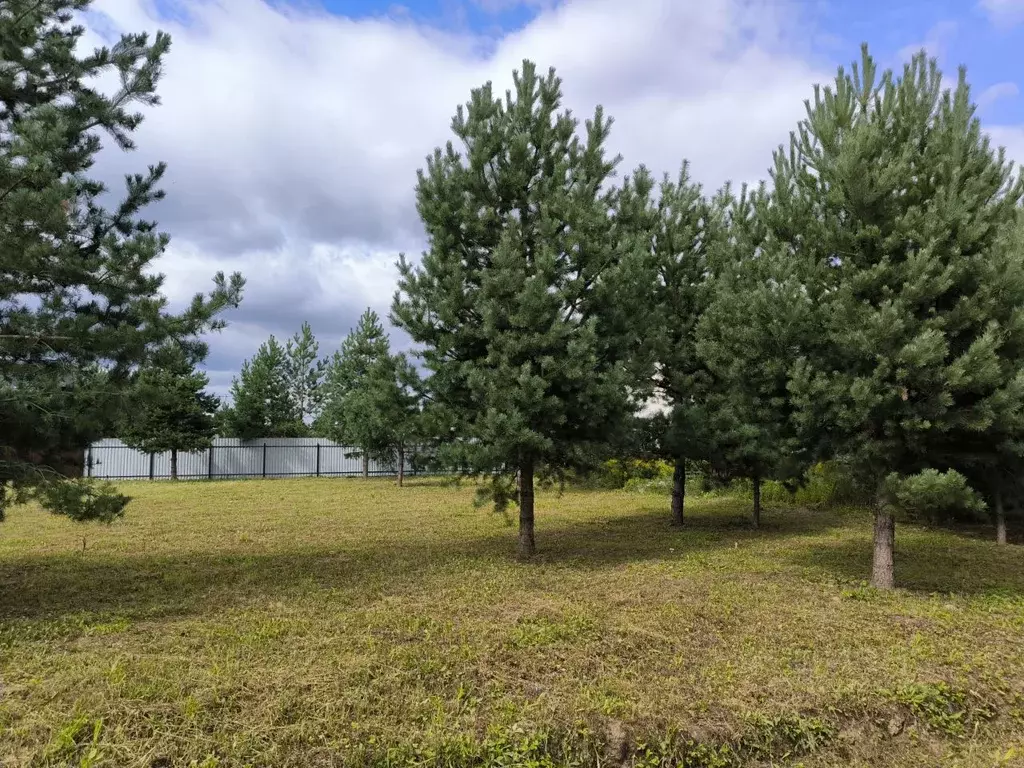 Участок в Московская область, Раменский муниципальный округ, с. Речицы ... - Фото 1