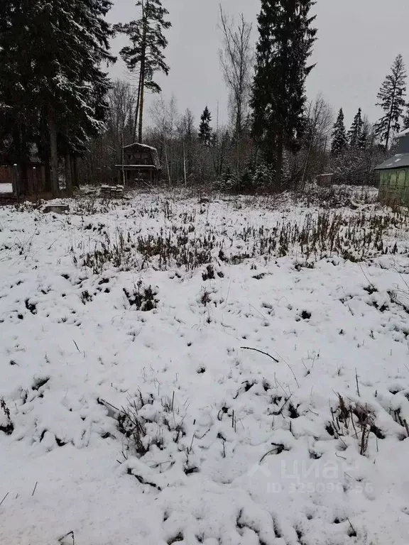 Участок в Московская область, Богородский городской округ, Металлист ... - Фото 1