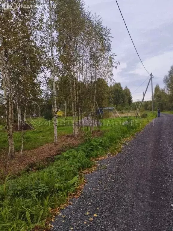 Участок в Потанинское сельское поселение, деревня Весь (44 м) - Фото 2