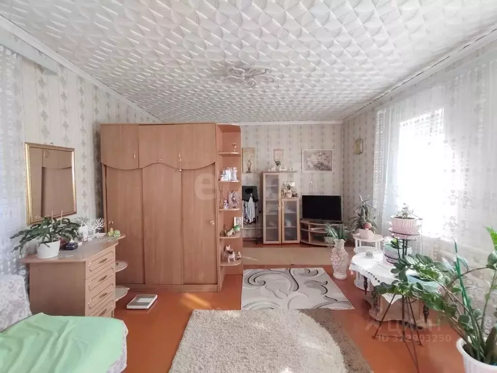 Дом в Амурская область, Свободный ул. Чехова, 65 (38 м) - Фото 2