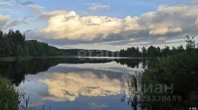 Участок в Ярославская область, Ярославский муниципальный округ, ... - Фото 2