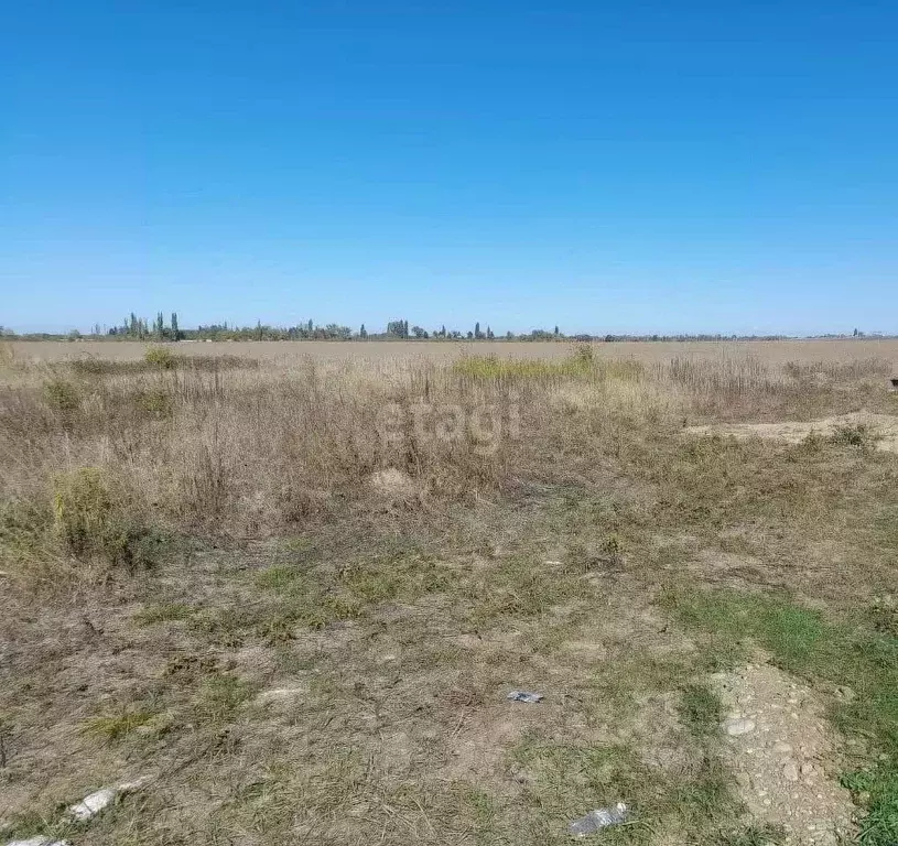 Участок в Адыгея, Майкоп городской округ, Гавердовский хут. ул. ... - Фото 0