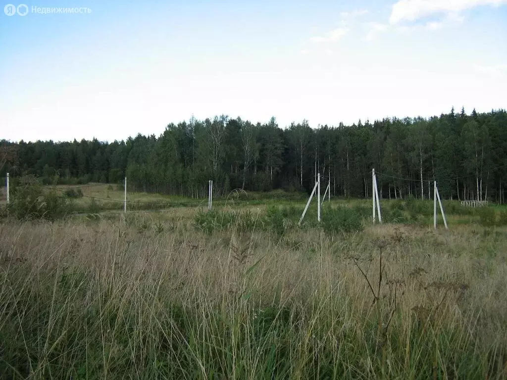 Участок в Гостилицкое сельское поселение (10 м) - Фото 2