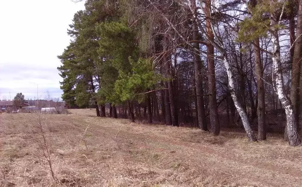 Участок в Калужская область, Дзержинский район, д. Рудня  (65.0 сот.) - Фото 2