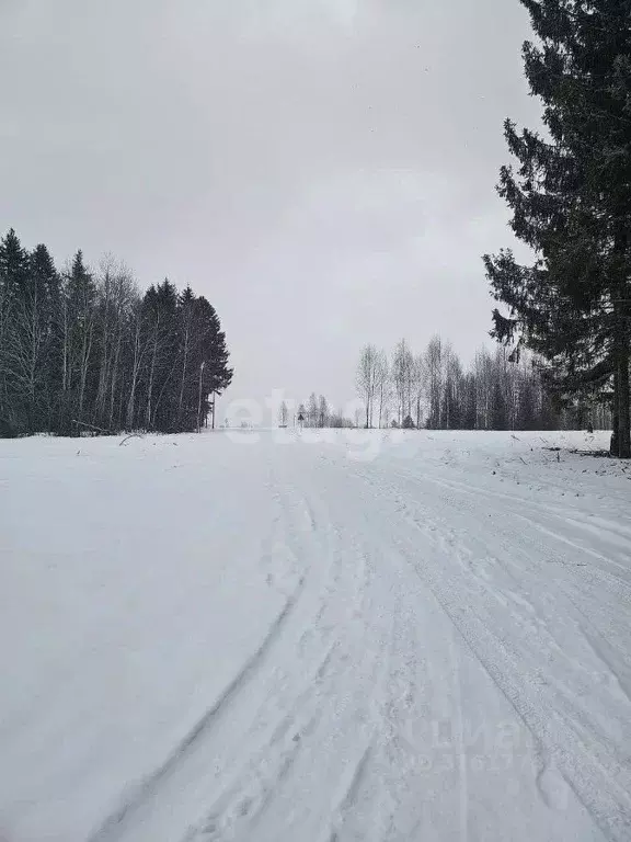 Дом в Пермский край, Добрянский городской округ, д. Залесная  (42 м) - Фото 1