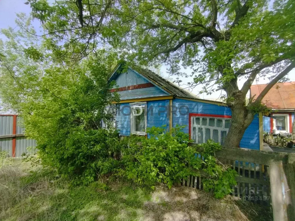 Дом в Саратовская область, с. Рыбушка ул. Молодежная, 21 (93 м) - Фото 0