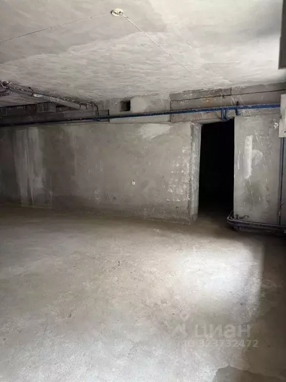 Помещение свободного назначения в Амурская область, Благовещенск ул. ... - Фото 1