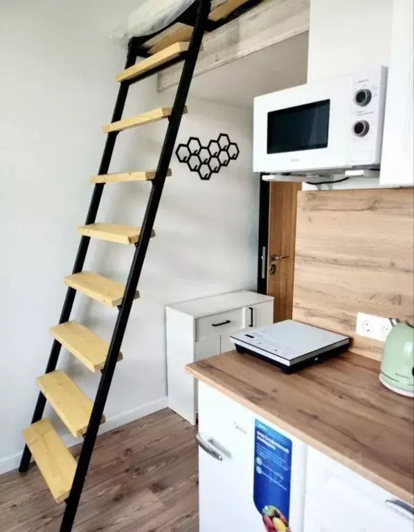 Студия Московская область, Раменский муниципальный округ, Ильинский ... - Фото 2