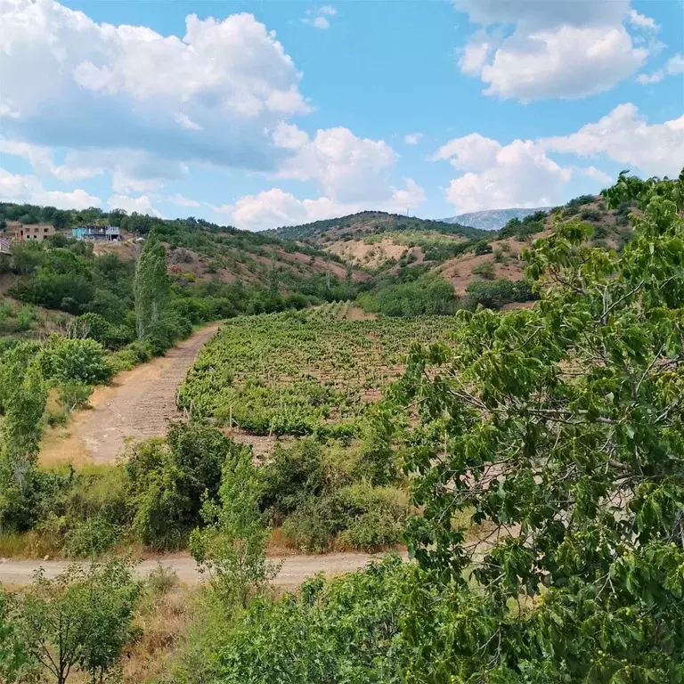 Дом в Крым, Алушта муниципальный округ, с. Рыбачье ул. Лучистая, 22Б ... - Фото 2