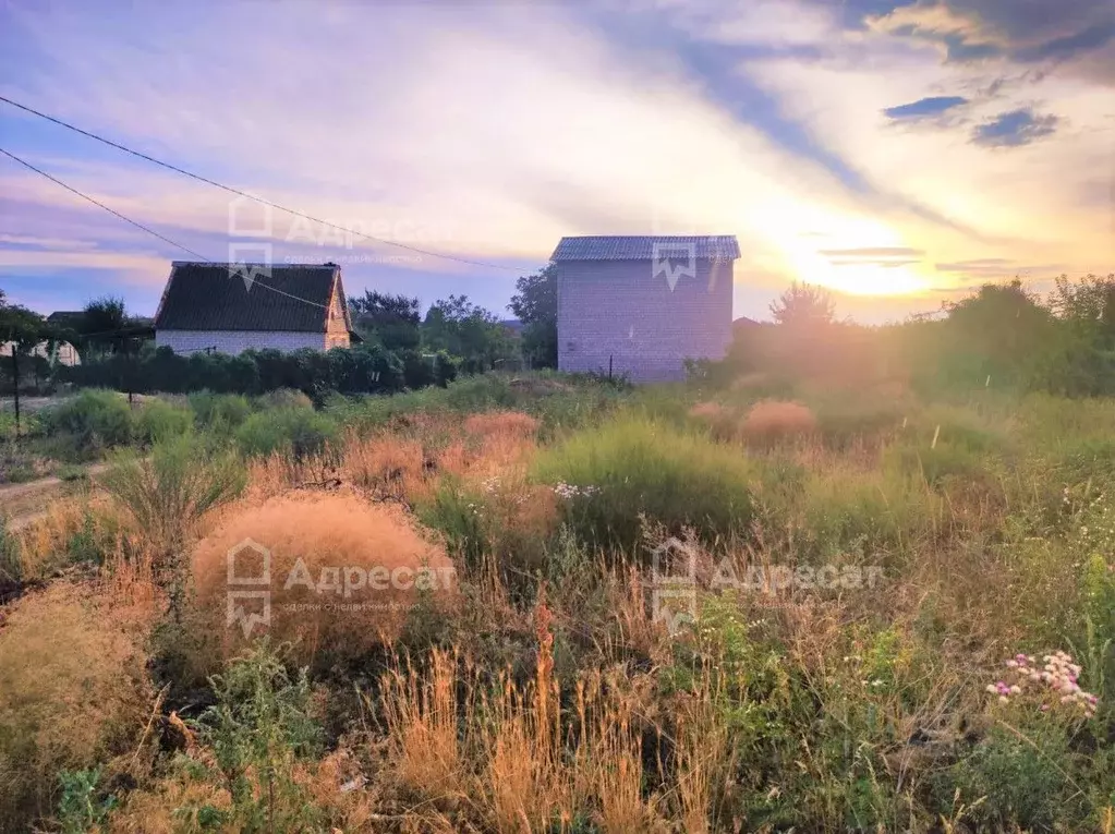 Участок в Волгоградская область, Светлоярский район, Червленовское ... - Фото 1