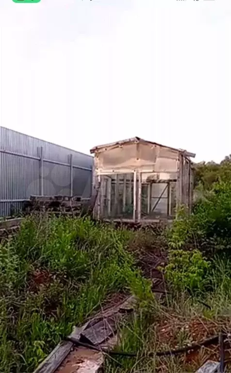 Участок 10 сот. (ИЖС) - Фото 0