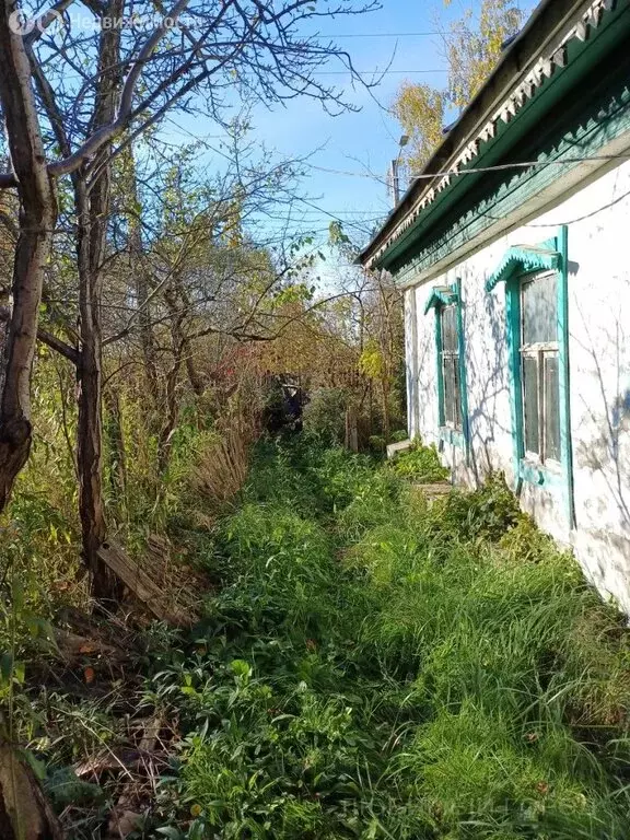 Дом в посёлок Новое Доскино, 12-я линия (54.6 м) - Фото 1